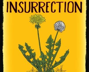 Dandelion Insurection